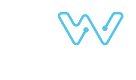 NETWISE INTERNET